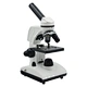 Microscope Lamp